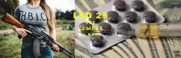 шишки Пестово
