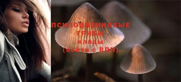 шишки Осинники