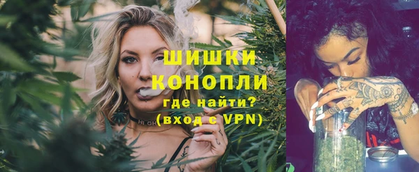 шишки Осинники