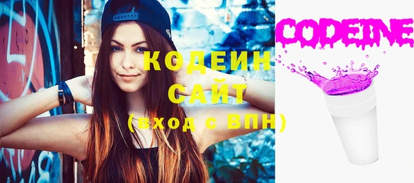 шишки Осинники